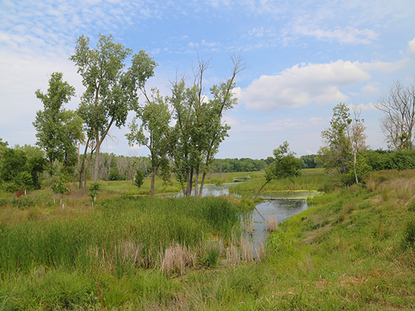 bass-lake-preserve