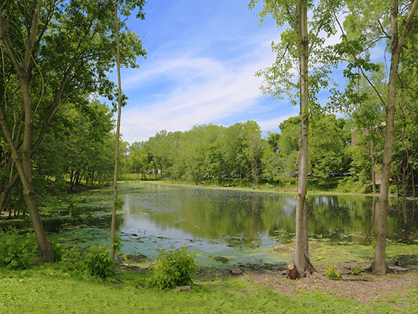 otten-pond