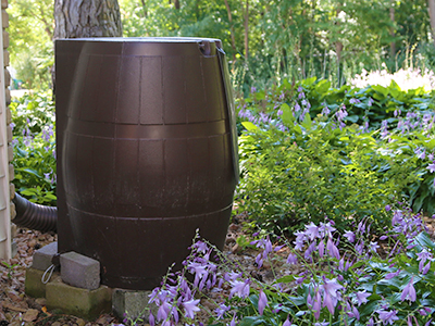 rain barrel sale