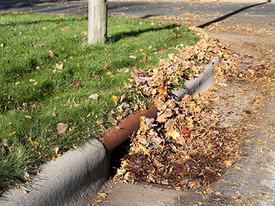storm drain with leaves